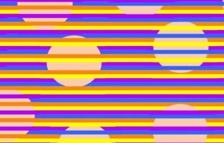 6db6523e085d1ee57fd526e7d926bcbe